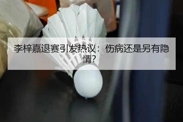 李梓嘉退赛引发热议：伤病还是另有隐情？